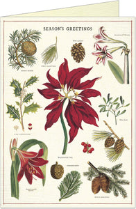 Botanica Christmas Boxed Notes