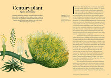 Load image into Gallery viewer, Parched: 50 Plants that Survive and Thrive in a Dry Garden
