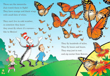Load image into Gallery viewer, My, Oh My- A Butterfly
