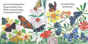 Pop-Up Peekaboo! Butterfly