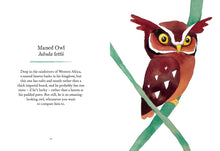 Load image into Gallery viewer, Owls: Our Most Charming Bird
