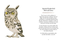 Load image into Gallery viewer, Owls: Our Most Charming Bird
