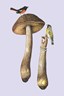 Load image into Gallery viewer, Art of Nature: Fungi Boxed 20 Card Set
