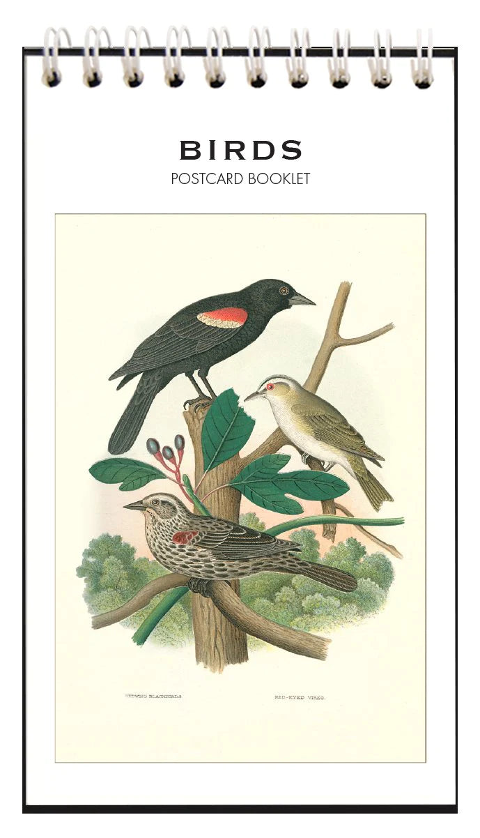 Birds Postcard Booklet