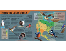 Load image into Gallery viewer, Lonely Planet Kids: Bird Atlas
