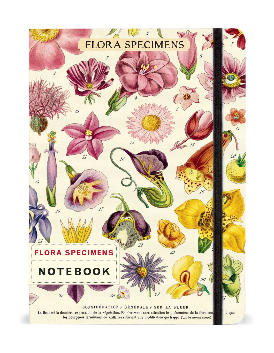 Flora Specimens Large Notebook