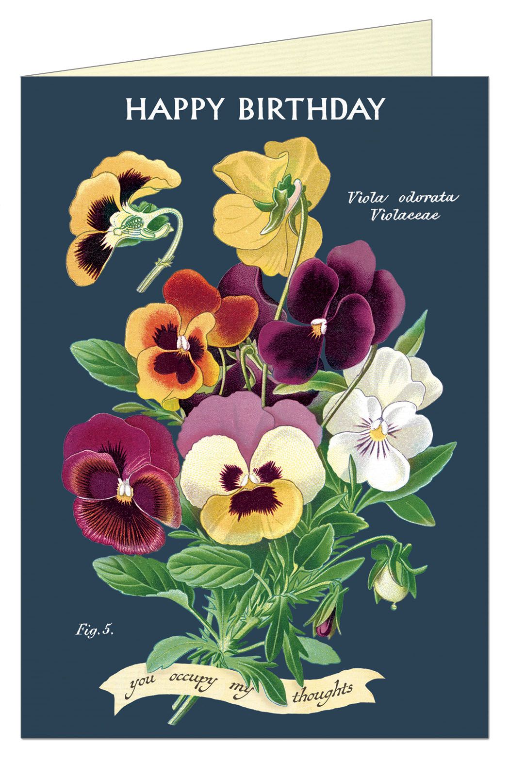 Happy Birthday Violet Greeting Card