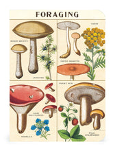 Load image into Gallery viewer, Foraging 3 Mini Notebooks
