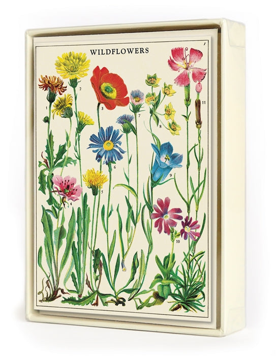 Wildflowers Boxed Note Cards
