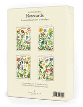 Load image into Gallery viewer, Wildflowers Boxed Note Cards
