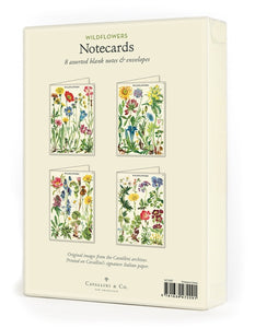 Wildflowers Boxed Note Cards