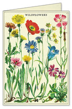 Load image into Gallery viewer, Wildflowers Boxed Note Cards
