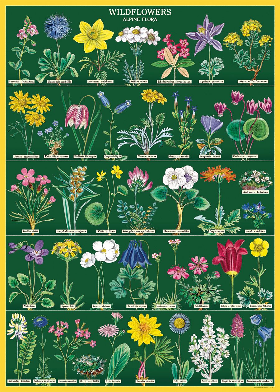 Wildflowers 2 Wrap