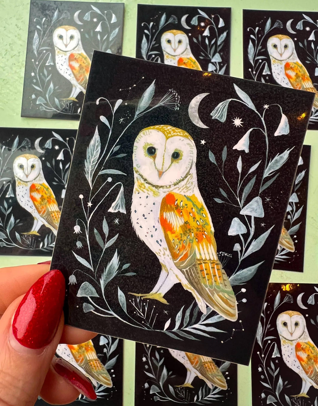 Barn Owl Sticker - glossy