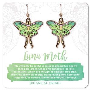 Luna Moth Dangle Earrings: Gold
