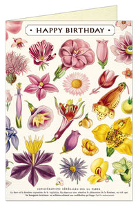 Happy Birthday Flora Specimens Greeting Card