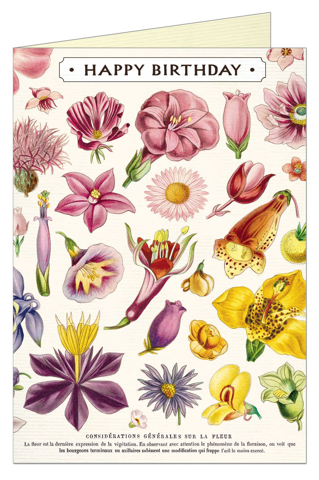 Happy Birthday Flora Specimens Greeting Card