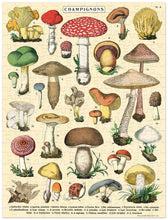 Load image into Gallery viewer, Mushroom 240pc Mini Puzzle
