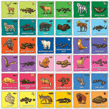 Load image into Gallery viewer, Jr. Ranger Animal Poop Matching Game
