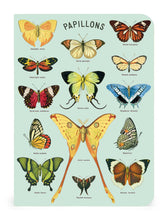 Load image into Gallery viewer, Butterflies Mini Notebook 3-pack
