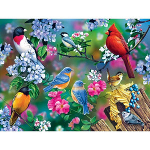 Audubon Songbird Collage 300pc Puzzle