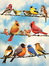 Load image into Gallery viewer, Birds on a Wire 500pc Puzzle
