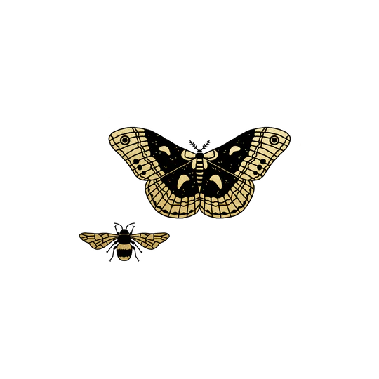 Winged Duo Gold Tattoo Pair