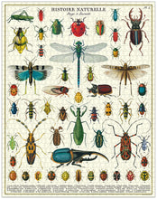 Load image into Gallery viewer, Bugs &amp; Insects 1,000pc Puzzle
