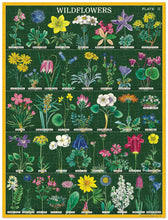 Load image into Gallery viewer, Wildflowers Mini Puzzle 240pc
