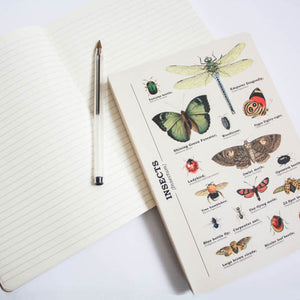 Insects Notebook