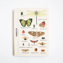 Load image into Gallery viewer, Insects Notebook
