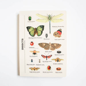 Insects Notebook