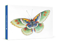 Load image into Gallery viewer, Butterfly Small Boxed Cards
