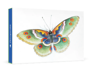 Butterfly Small Boxed Cards