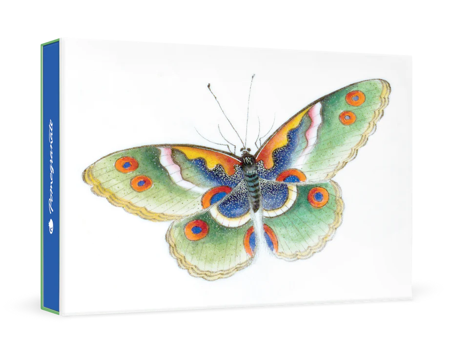 Butterfly Small Boxed Cards