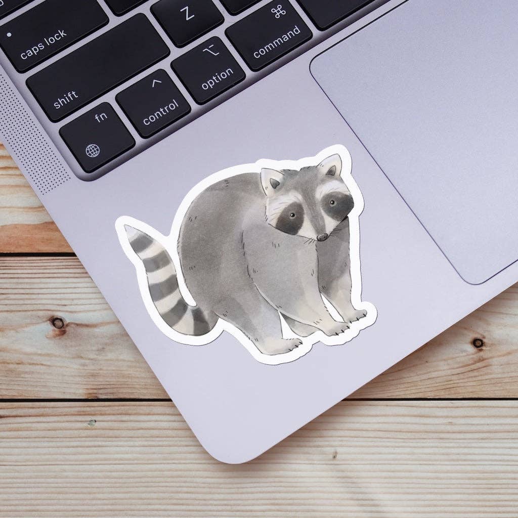 Cute Raccoon Sticker – sbnature Store