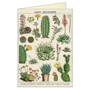 Cacti & Succulents Greeting Card