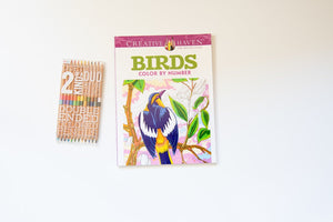 Birds Color By Number