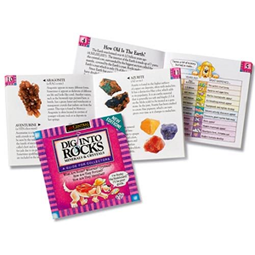 Dig Into Rocks Book