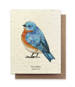 Bluebird Bird Plantable Seed Card