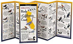 Sibley's Birds of the California Coast