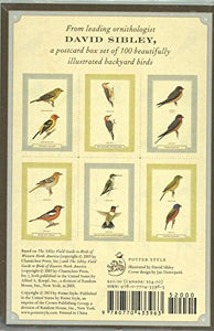 Sibley Backyard Birding Postcards