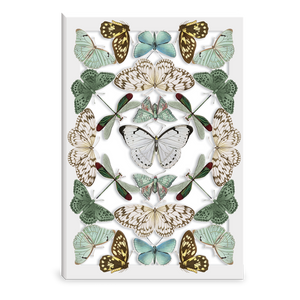 Butterfly Reflections Greeting Card