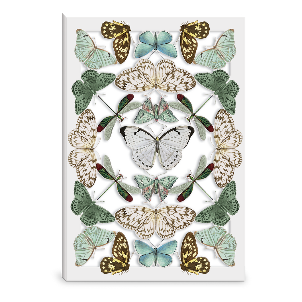 Butterfly Reflections Greeting Card