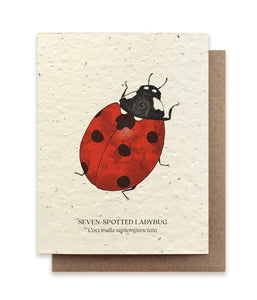 Seven-Spotted Ladybug Plantable Wildflower Seed Card