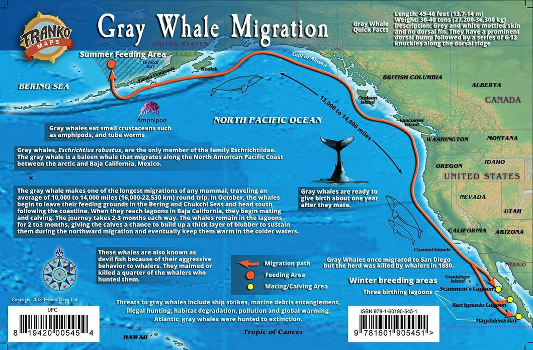 Franko's Gray Whale Migration Guide