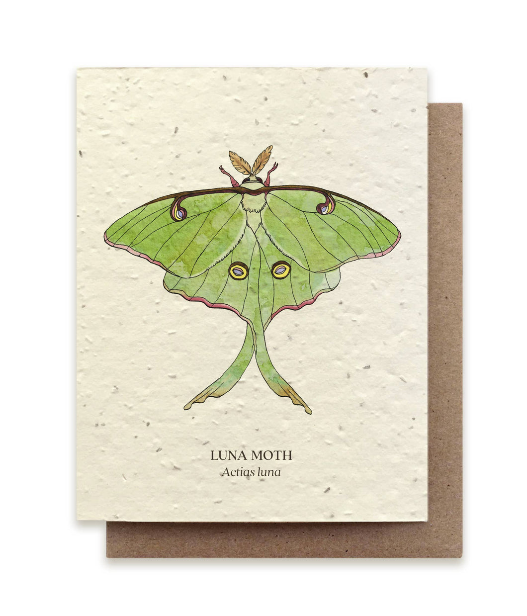 Luna Moth Plantable Seed Card