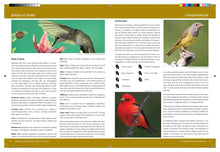 Load image into Gallery viewer, National Audubon Society Birds of North America
