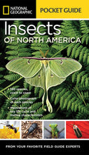 Load image into Gallery viewer, National Geographic Pocket Guide: Insect of N. America
