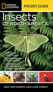 National Geographic Pocket Guide: Insect of N. America